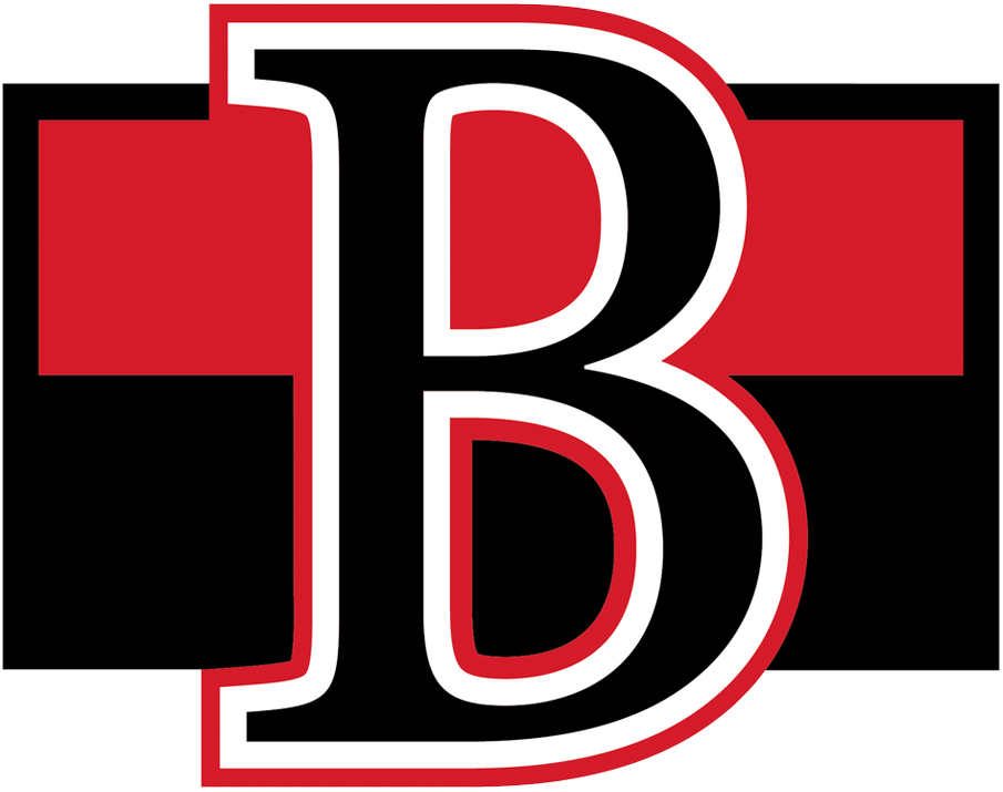 Belleville Senators 2017-Pres Primary Logo iron on transfers for T-shirts